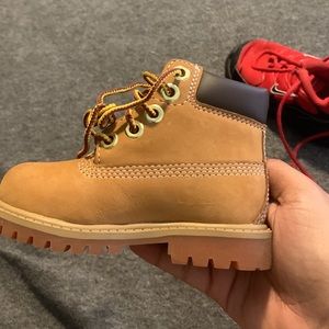 Baby Hard bottom Tims